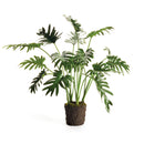 NAPA Home & Garden, SPLIT LEAF SELLOUM DROP-IN 22.5",CC345