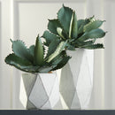 NAPA Home & Garden, GEOMETRIC CACHEPOTS, SET OF 2,CD214W