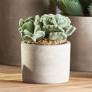 NAPA Home & Garden, Concrete Pipe Cachepot Collection