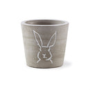 Napa Home Garden, PETER RABBIT MINI CACHEPOT,cd302