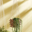 NAPA Home & Garden, MASANA SEAGRASS HANGING BASKET 11",DB405