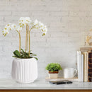NAPA Home & Garden, Decorative Vases and Cachepots Collection