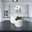 NAPA Home & Garden, Decorative Vases and Cachepots Collection