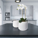 NAPA Home & Garden, Decorative Vases and Cachepots Collection