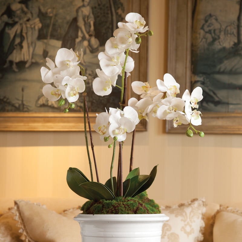 NAPA Home & Garden, PHALAENOPSIS ORCHID DROP-IN 30",DI1200