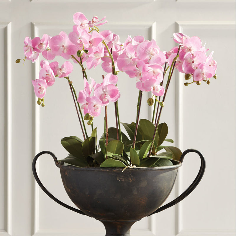 NAPA Home & Garden, PHALAENOPSIS ORCHID DROP-IN 30",DI1202P