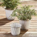 NAPA Home & Garden, SOFT FERN DROP-IN