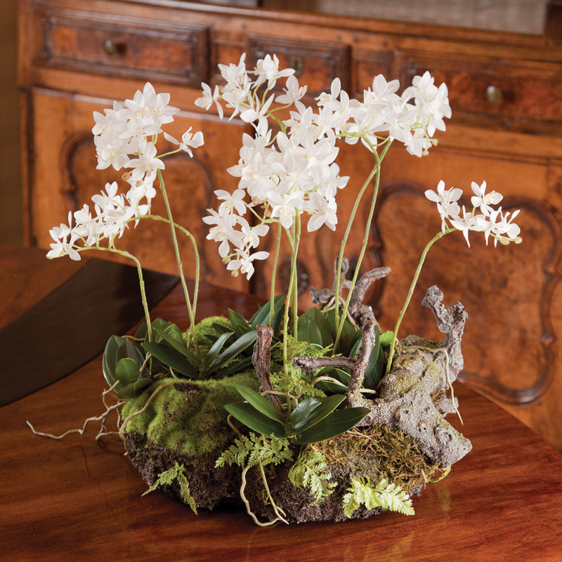 NAPA Home & Garden, MINI DENDROBIUM WITH RUSTIC DROP-IN
