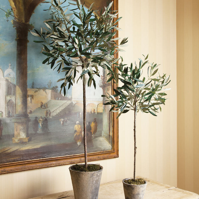NAPA Home & Garden, OLIVE TREE POTTED 46",DI1212