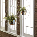 NAPA Home & Garden, Boston Fern Drop-In Collection