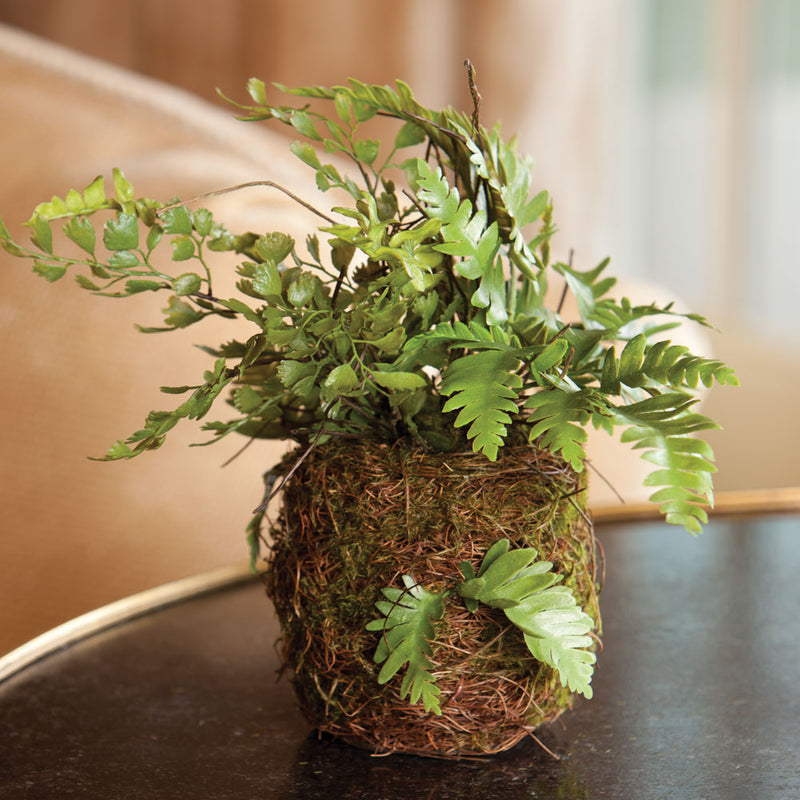 Napa Home & Garden CC 8" Mix Fern Rustic Drop in, 8x8x8 Inches