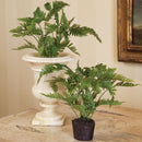 NAPA Home & Garden, LADY FERN DROP-IN 8.5",DI1219