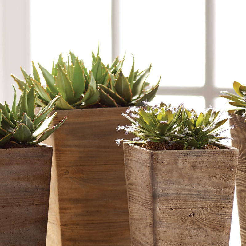NAPA Home & Garden, SUCCULENT DROP-INS 5.5",DI1240