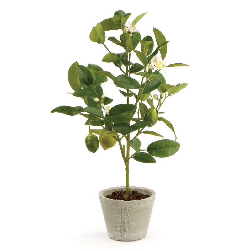 NAPA Home & Garden Lemon Topiary Potted Plant