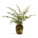 NAPA Home & Garden, SOFT FERN DROP-IN
