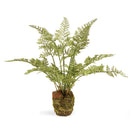 NAPA Home & Garden, SOFT FERN DROP-IN Collection
