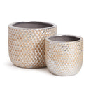 NAPA Home & Garden, IMPRESSION POTS Collection