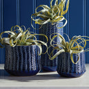 NAPA Home & Garden, FRASIER POTS Collection