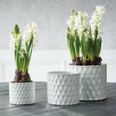 NAPA Home & Garden, LOOPY POTS Collection