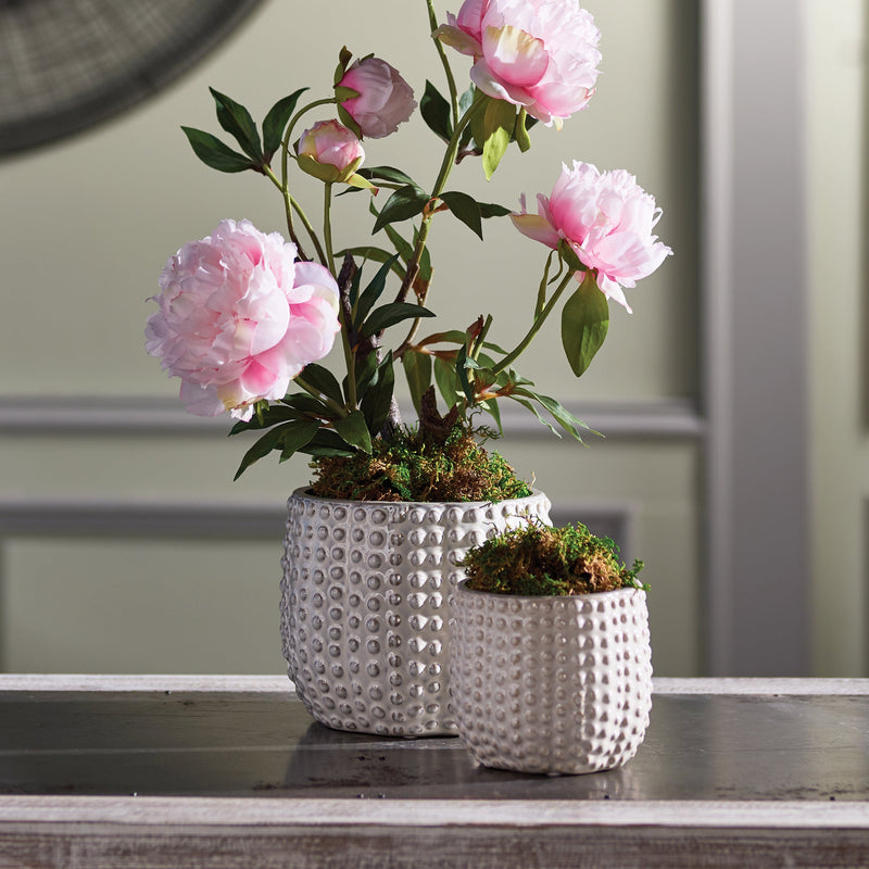 NAPA Home & Garden, Urchin Pots Collection