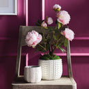 NAPA Home & Garden, Urchin Pots Collection