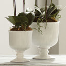 Sinclair Footed Urn by NAPA Home & Garden