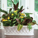 NAPA Home & Garden, HILLINGDON CACHEPOT Collection