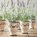 NAPA Home & Garden, FRENCH LAVENDER DROP-IN 13", SET OF 6,GP205