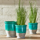 NAPA Home & Garden Onion Grass Decorative Accent