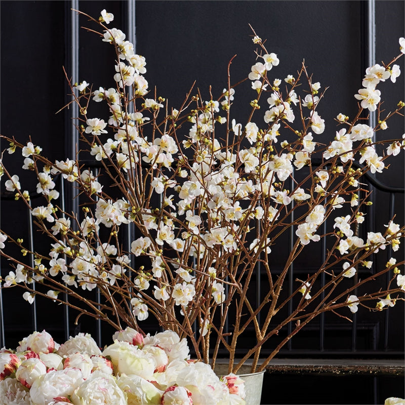 Napa Home & Garden Quince Blossom 54" Branch