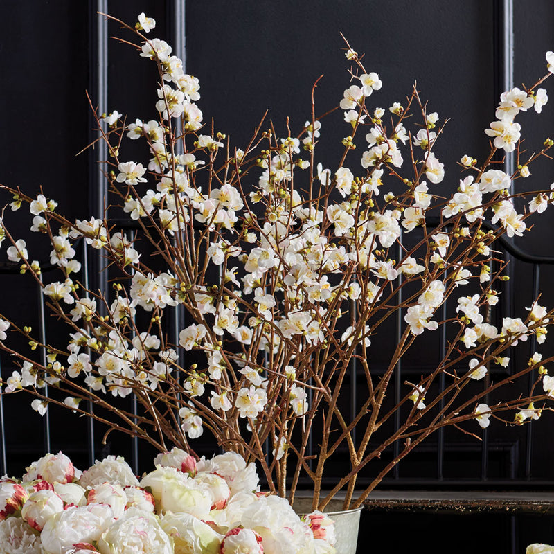 Napa Home & Garden Quince Blossom 54" Branch