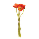 NAPA Home & Garden, MINI POPPY CUTTINGS, BUNDLE OF 5