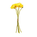 NAPA Home & Garden, MINI POPPY CUTTINGS, BUNDLE OF 5