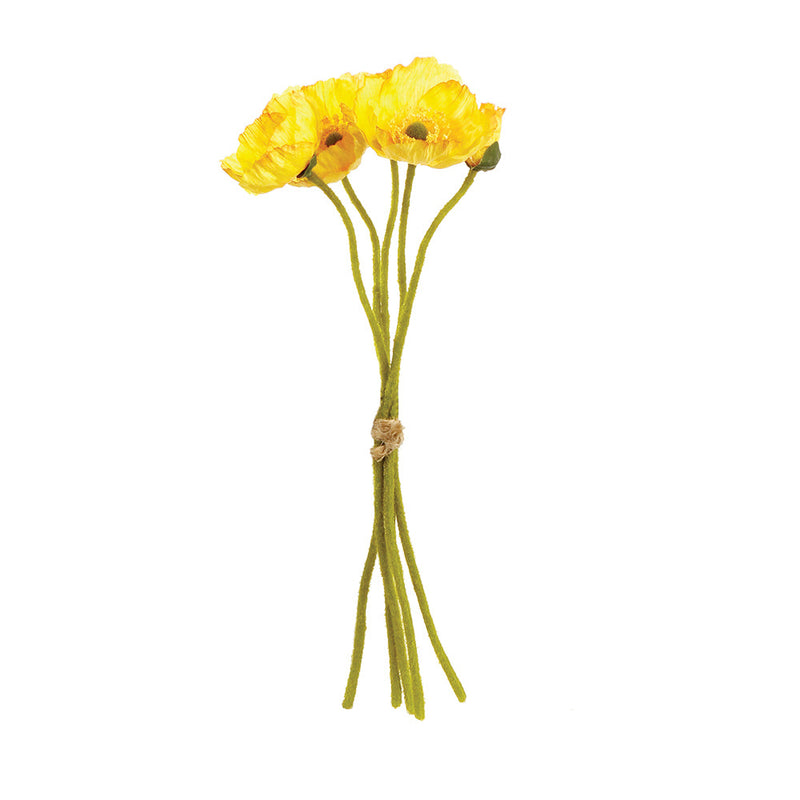 NAPA Home & Garden, MINI POPPY CUTTINGS, BUNDLE OF 5