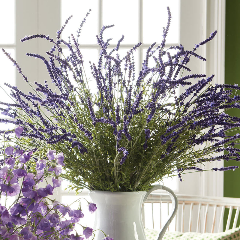 Napa Home & Garden French Lavender Bush 34"