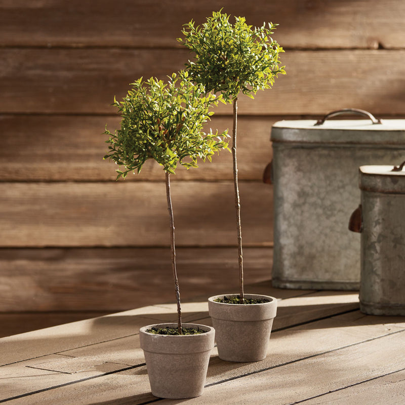 NAPA Home & Garden, THYME TOPIARY 13",GP251
