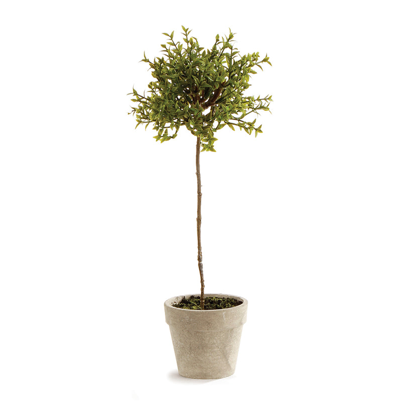 NAPA Home & Garden, THYME TOPIARY 13",GP251