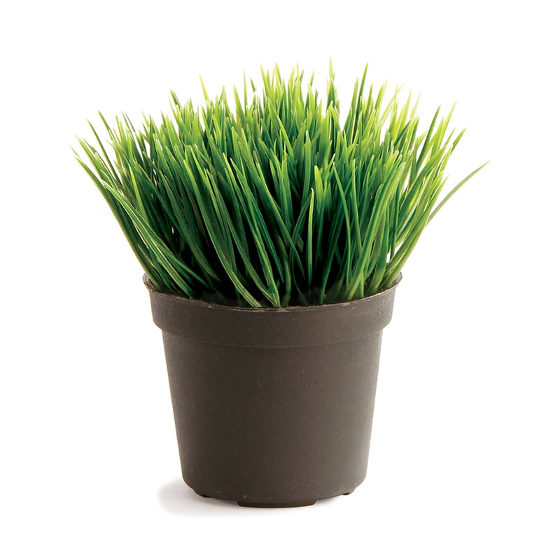 Napa Home & Garden Mini Potted Grass Green