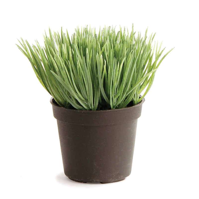 Napa Home & Garden Mini Potted Grass Gray/Green