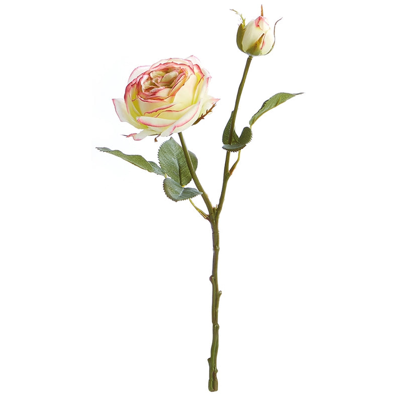 Napa Home Garden, GARDEN ROSE CUTTING 14" GREEN/PINK,gp270gr