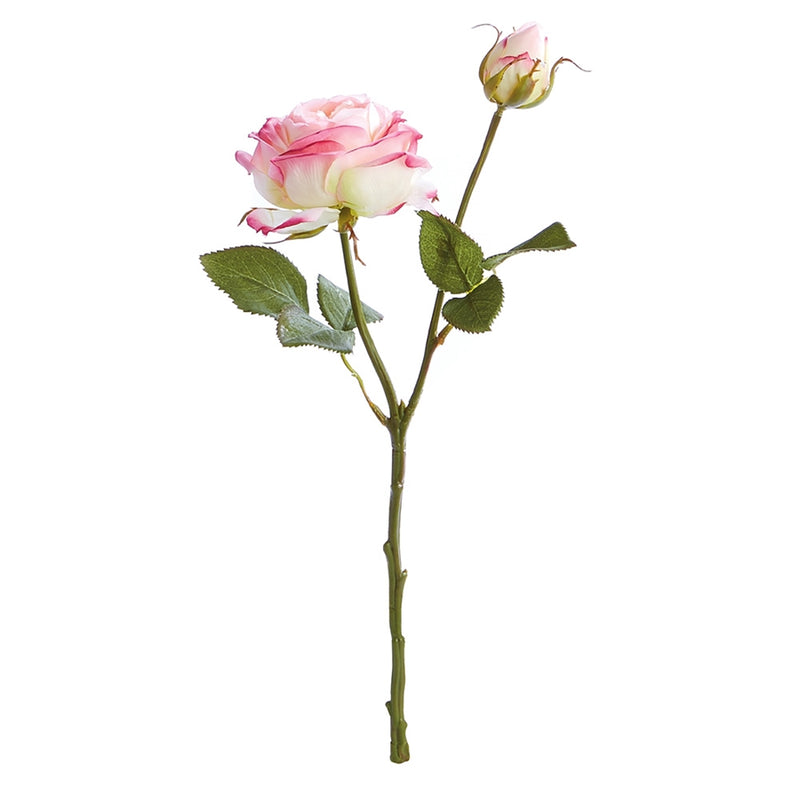 Napa Home Garden, GARDEN ROSE CUTTING 14" PINK,gp270pk