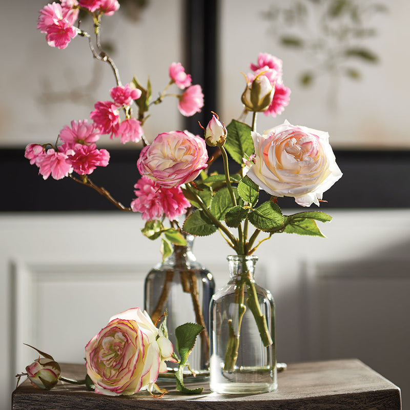 Garden Rose Cutting - NAPA Home & Garden