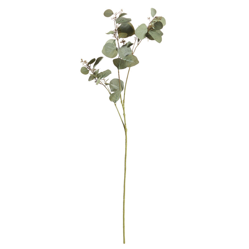 NAPA Home & Garden, Silver Dollar Eucalyptus Branch