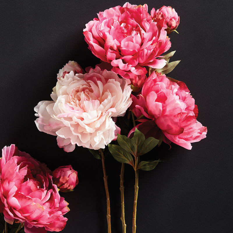 NAPA Home & Garden, PEONY STEM 21",GP413PKD