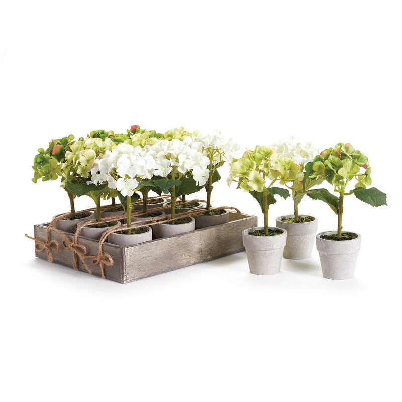 NAPA Home & Garden, MINI HYDRANGEA POTTED, SET OF 12
