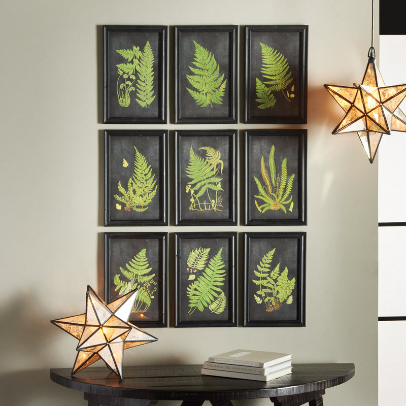 Napa Home & Garden Framed Fern Botanical Prints, Set of 8