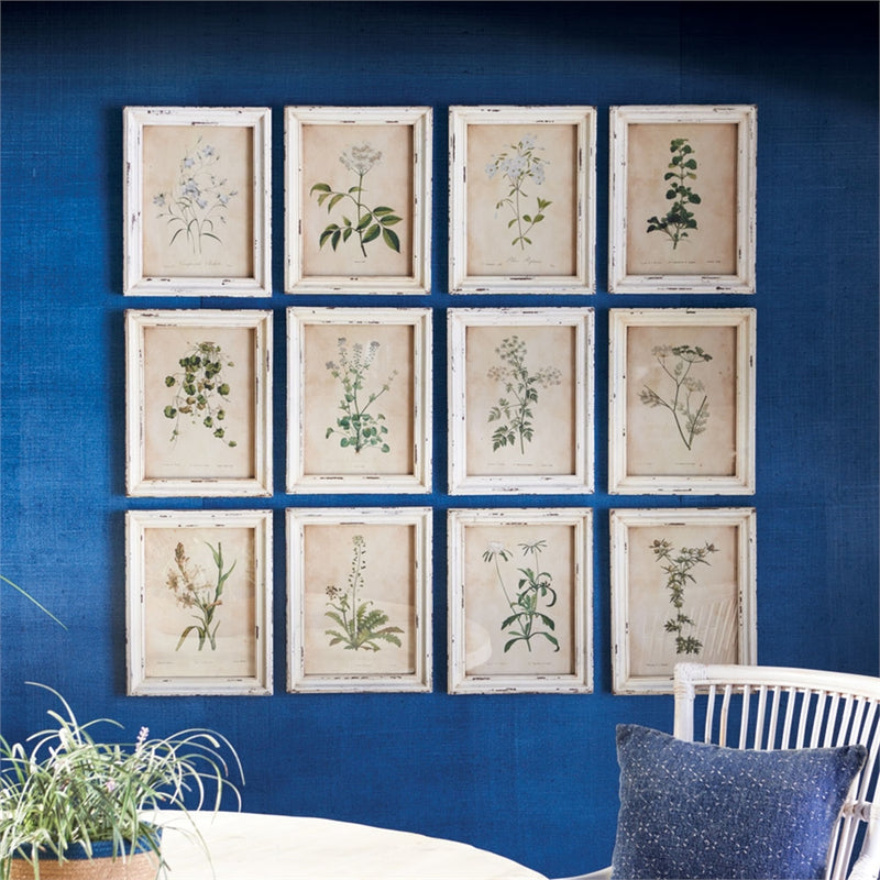Porch & Petal Framed Wild Flower Botanical Prints, Set of 12