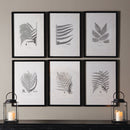 NAPA Home & Garden, FRAMED GRAY-TONE FERN PRINTS, SET OF 6,HC122
