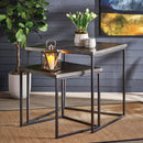 ARBORETUM NESTED CUBE TABLES, SET OF 2
