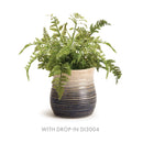 NAPA Home & Garden, CORA & SHADIYA VASE AND CACHEPOT COLLECTION